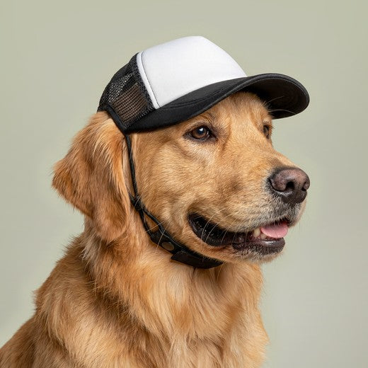 Dog Foam Trucker Hat Professional Squirrel Chaser