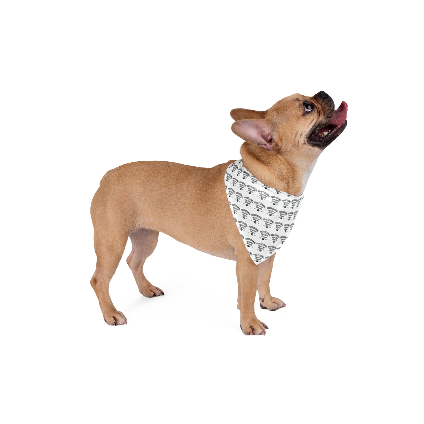 Pet Bandana Repeating Neutral Design for Dogs Professional Squirrel Chaser