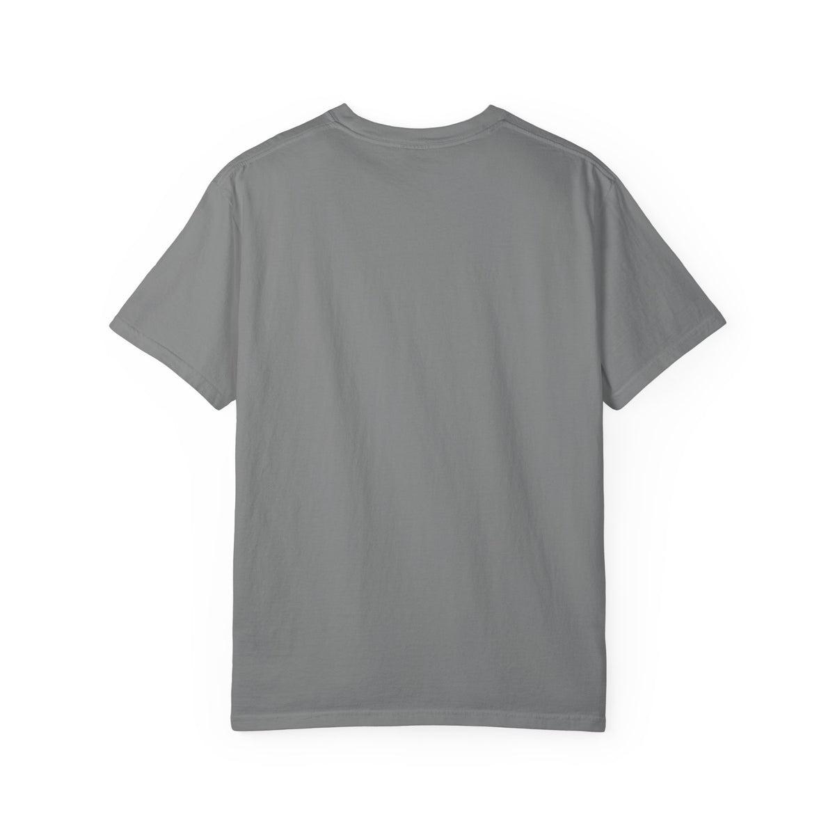 Unisex Garment-Dyed T-shirt Kung fu fighting tee