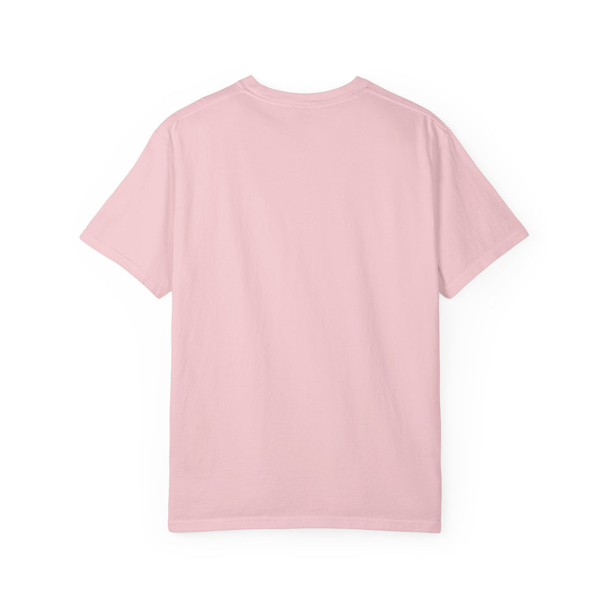 Unisex Garment-Dyed T-shirt Kung fu fighting tee